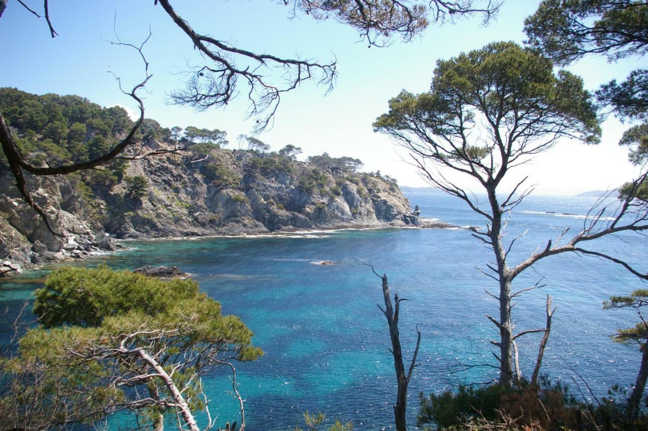Le Barbacane *